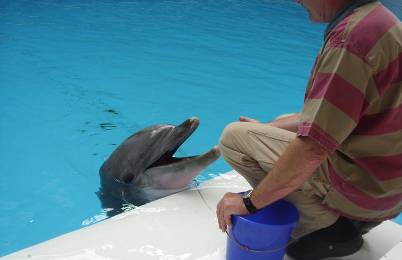 Zwei, die sich fast blind verstehen. Hans-Jürgen Klinckert ist mit Delphin Moby seit fast 40 Jahren befreundet.