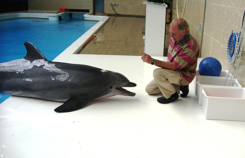 Zwei alte Freunde - Hans-Jürgen Klinckert und der Nürnberger Delphin Moby.