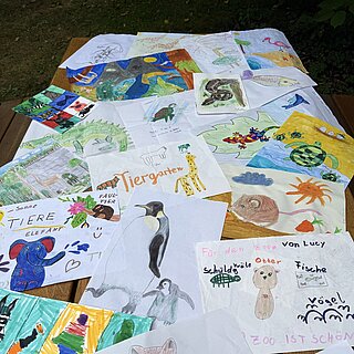 Die vielen selbstgemalte Tierbilder, die Kinder im Rahmen der Ferien-Malaktion abgegeben haben, ausgebreitet auf einem Tisch.