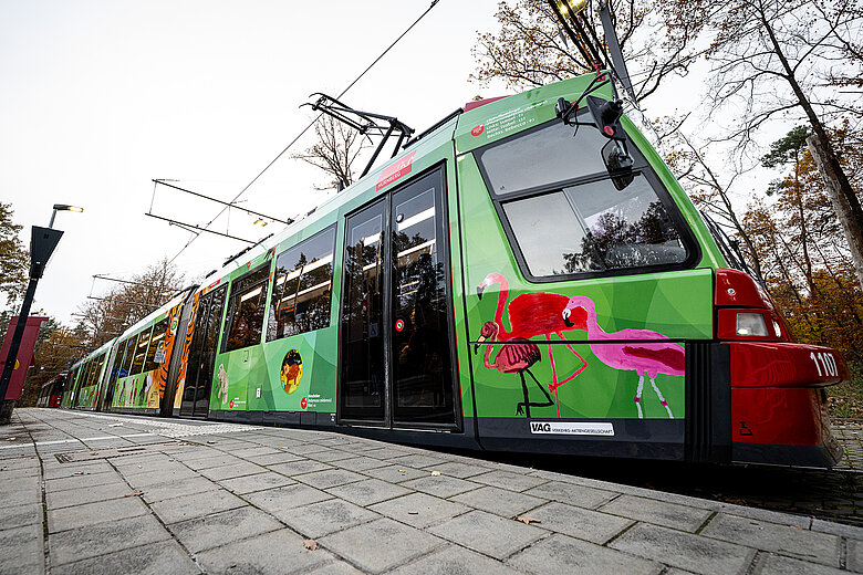 Die Tiergartenstraßenbahn an der Haltestelle Tiergarten. 