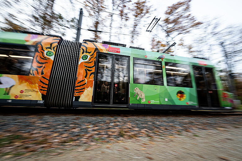 Die Tiergartenstraßenbahn an der Haltestelle Tiergarten