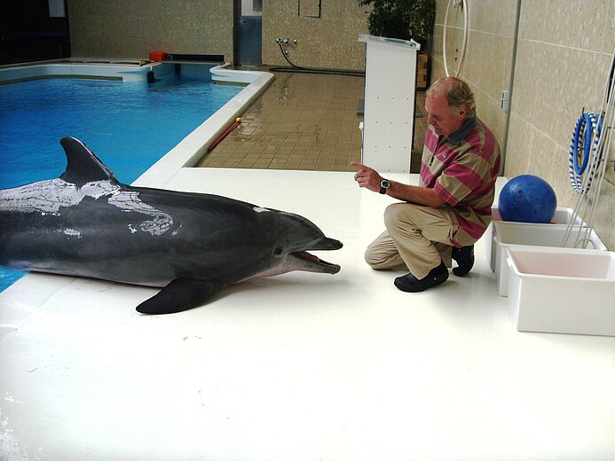 Zwei alte Freunde - Hans-Jürgen Klinckert und der Nürnberger Delphin Moby.