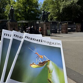 Drei Exemplare des neuen manatimagazins mit dem Haupteingang des Tiergartens im Hintergrund.