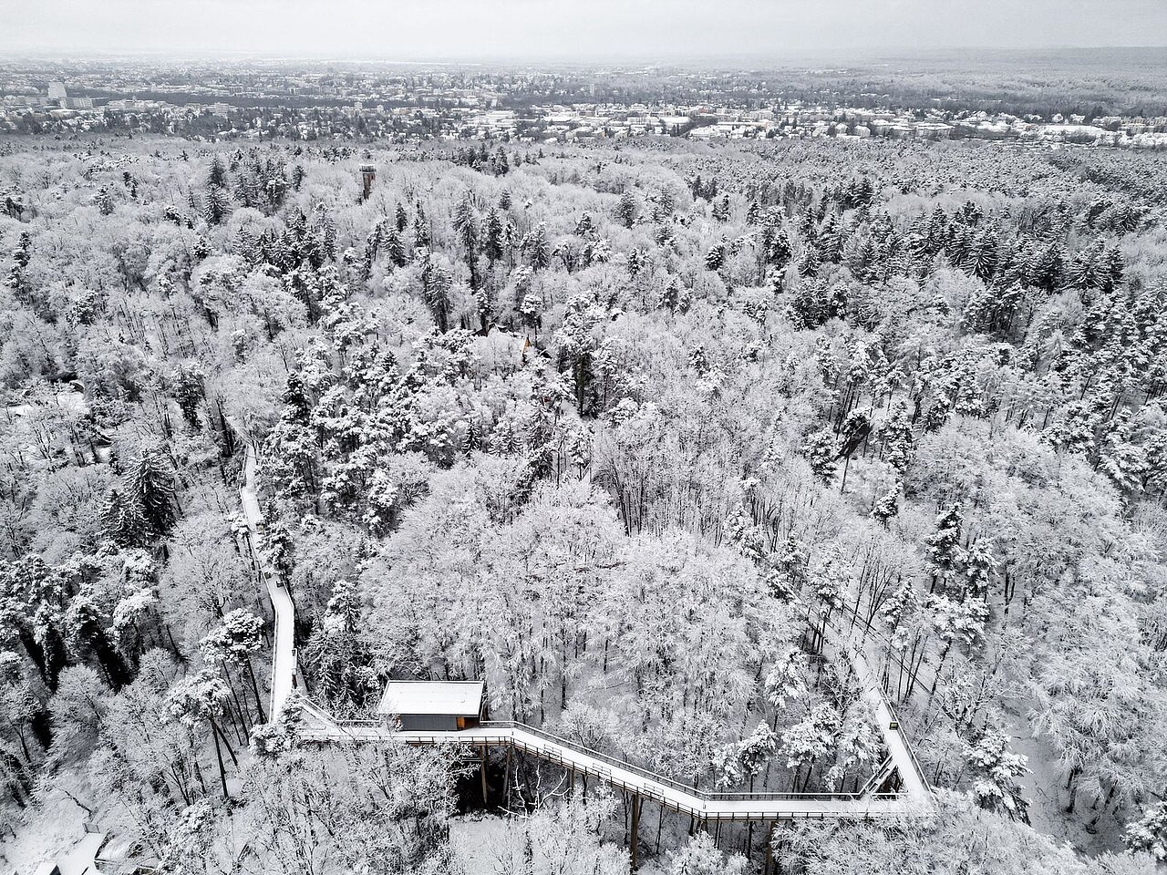 Eine Luftaufnhame des verschneiten Tiergartens mit dem Klimawaldpfad.