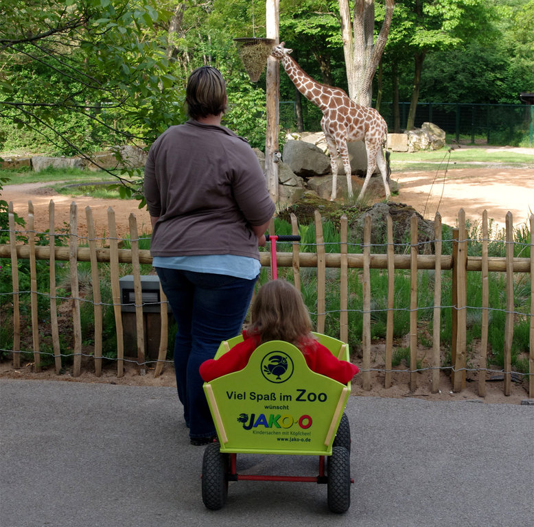 Hand-carts for kids, Foto: JAKO-O