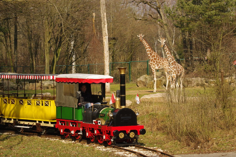 Kleinbahn im Tiergarten Nürnberg, Foto: Raabe