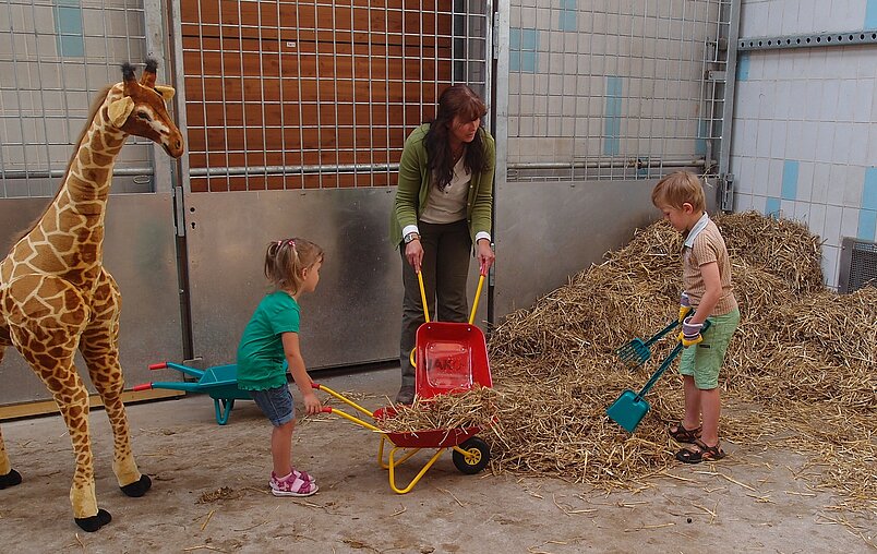 Jubiläumsfest im Tiergarten am Sonntag. Henri und Julia stellen den Programmpunkt "Zimmerservice bei den Giraffen - Mitmachaktion für Kinder im Giraffenstall" vor. Zoopädagogin Barbara Reinhard erklärt wie es geht.