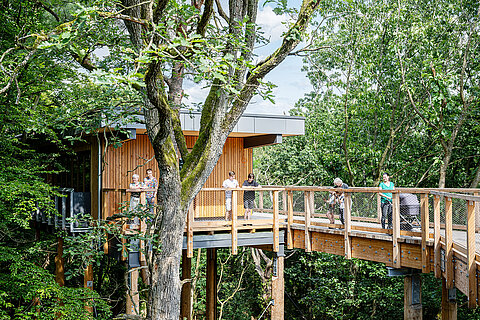 Das Grüne Klassenzimmer auf dem Klimawaldpfad im Tiergarten Nürnberg mit Besucherinnen und Besuchern.