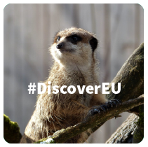 Logo #DiscoverEU