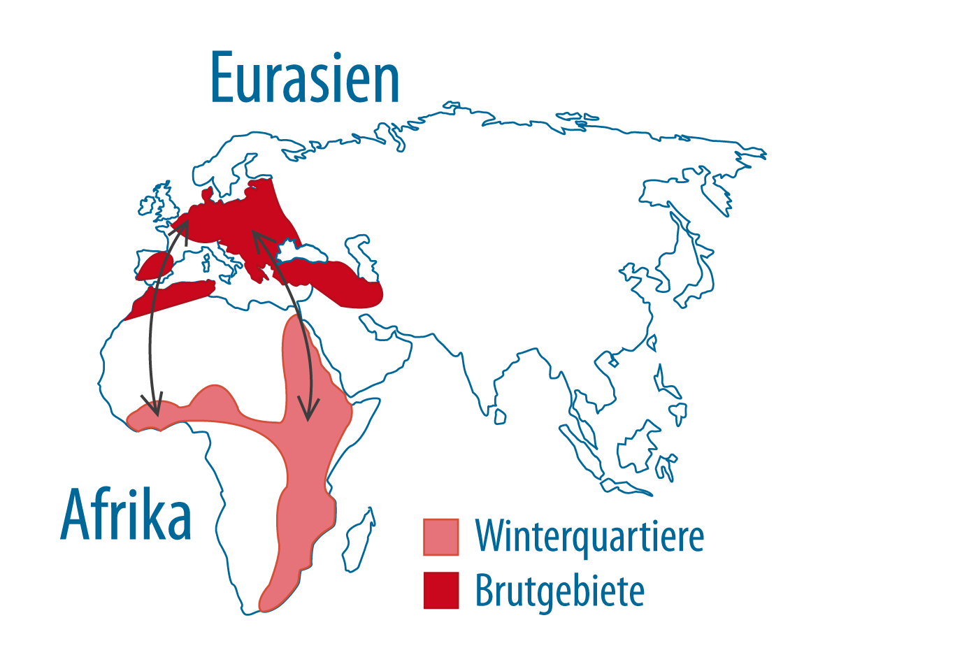 Verbreitungsgebiet: Weißstorch