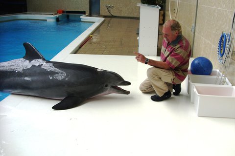Zwei alte Freunde - Hans-Jürgen Klinckert und der Nürnberger Delphin Moby.