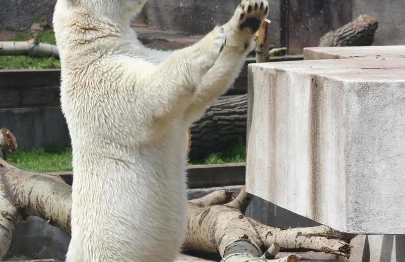 Foto: Zoo Warschau